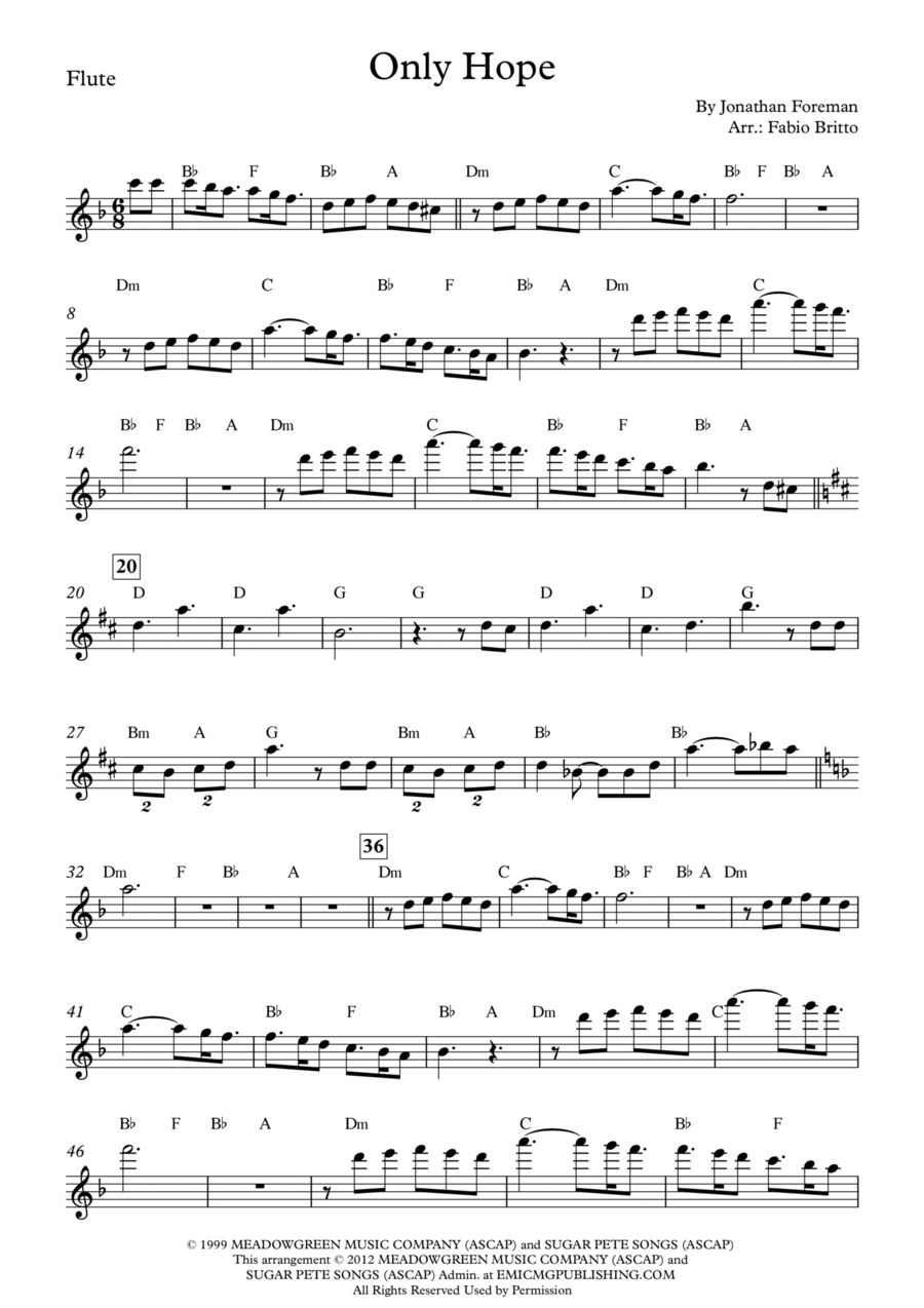 Only Hope Flute Solo scores gallery preview page 1