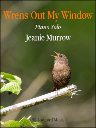 Book cover for Wrens Out My Window