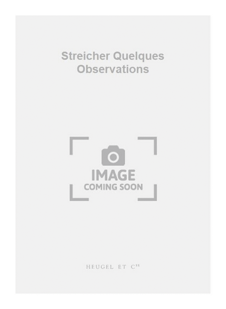 Streicher Quelques Observations