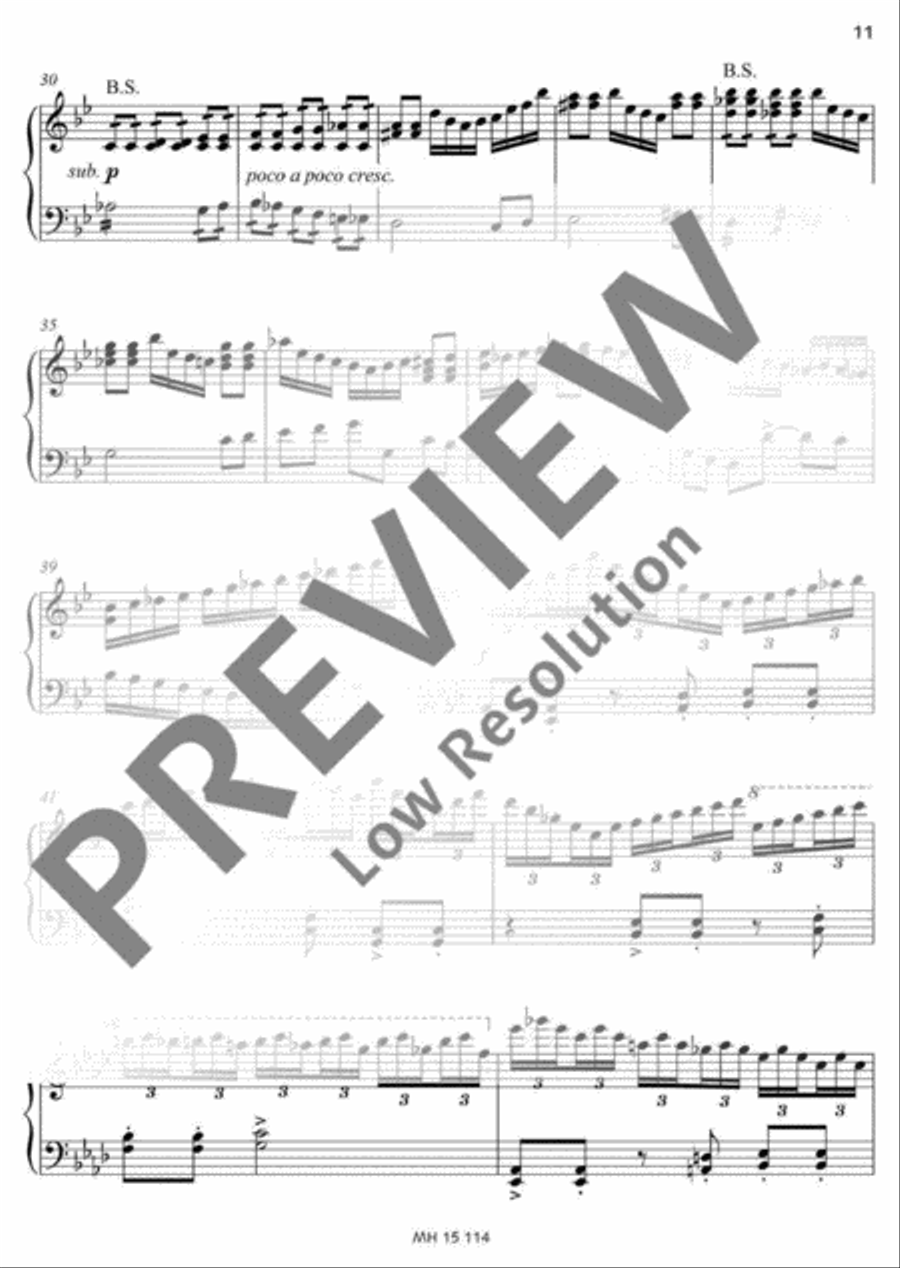 Frühlings-Partita Accordion scores gallery preview page 12