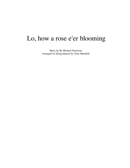 Lo, How A Rose E'er Blooming for String Quartet image number null