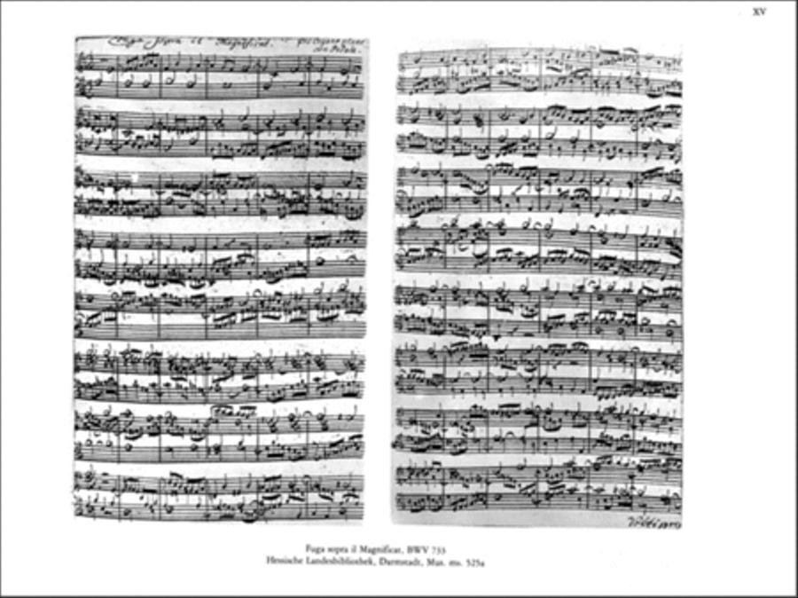 Sämtliche Orgelwerke VIII Organ scores gallery preview page 3