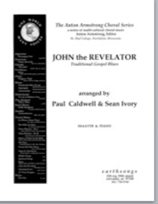 Book cover for john the revelator