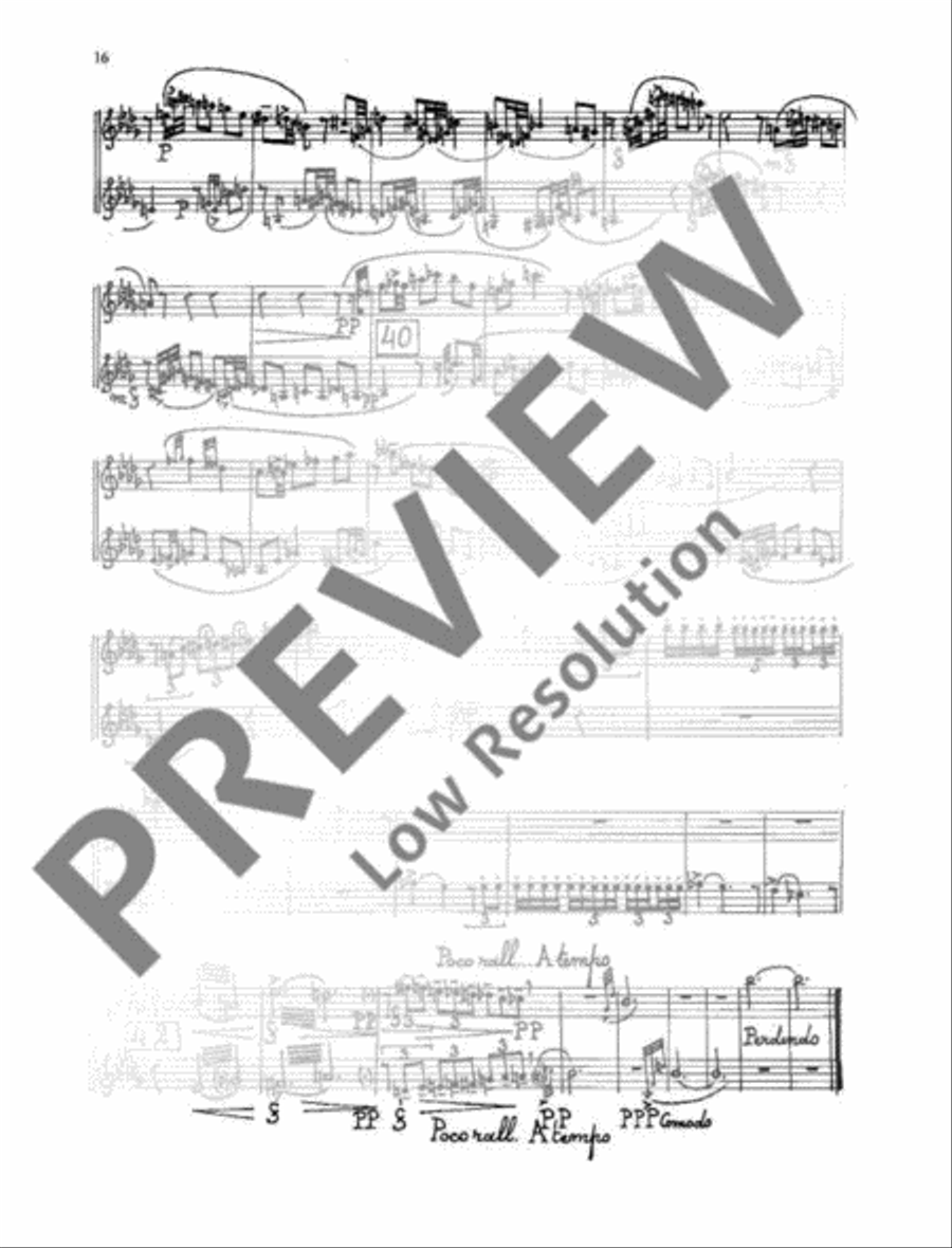 Le colloque des deux perruches Flute scores gallery preview page 17