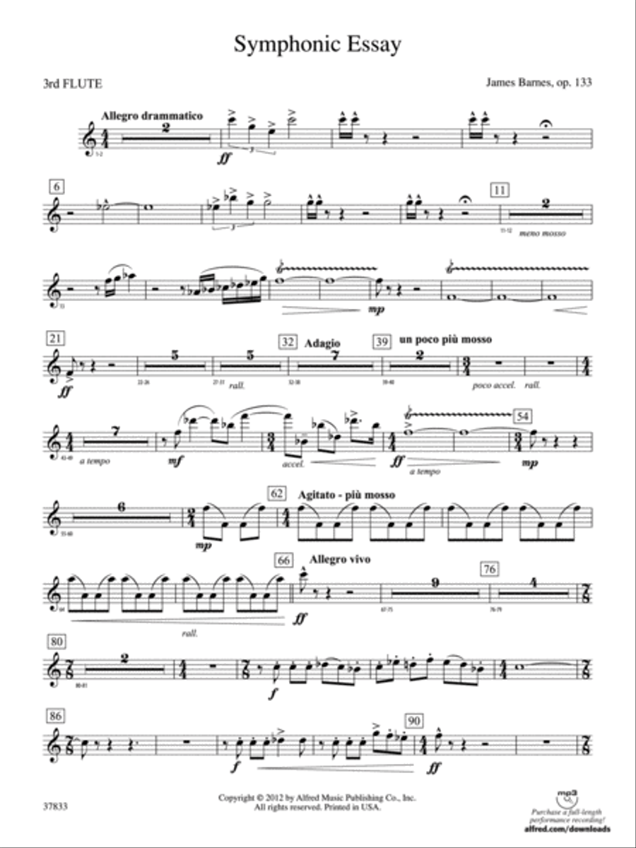 Symphonic Essay: 3rd Flute Concert Band scores gallery preview page 1