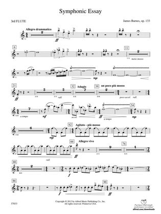 Symphonic Essay: 3rd Flute