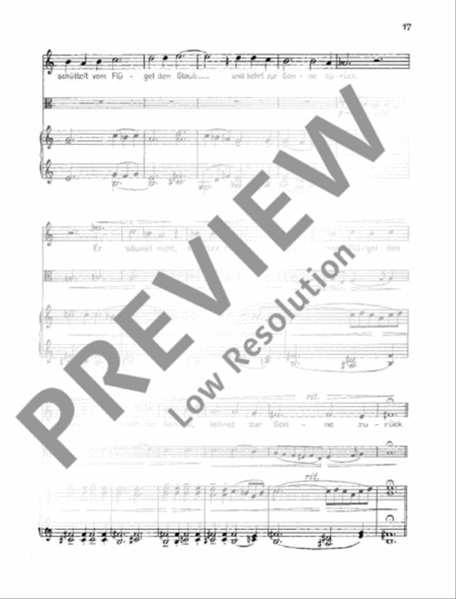 Solo-Cantata Organ scores gallery preview page 18