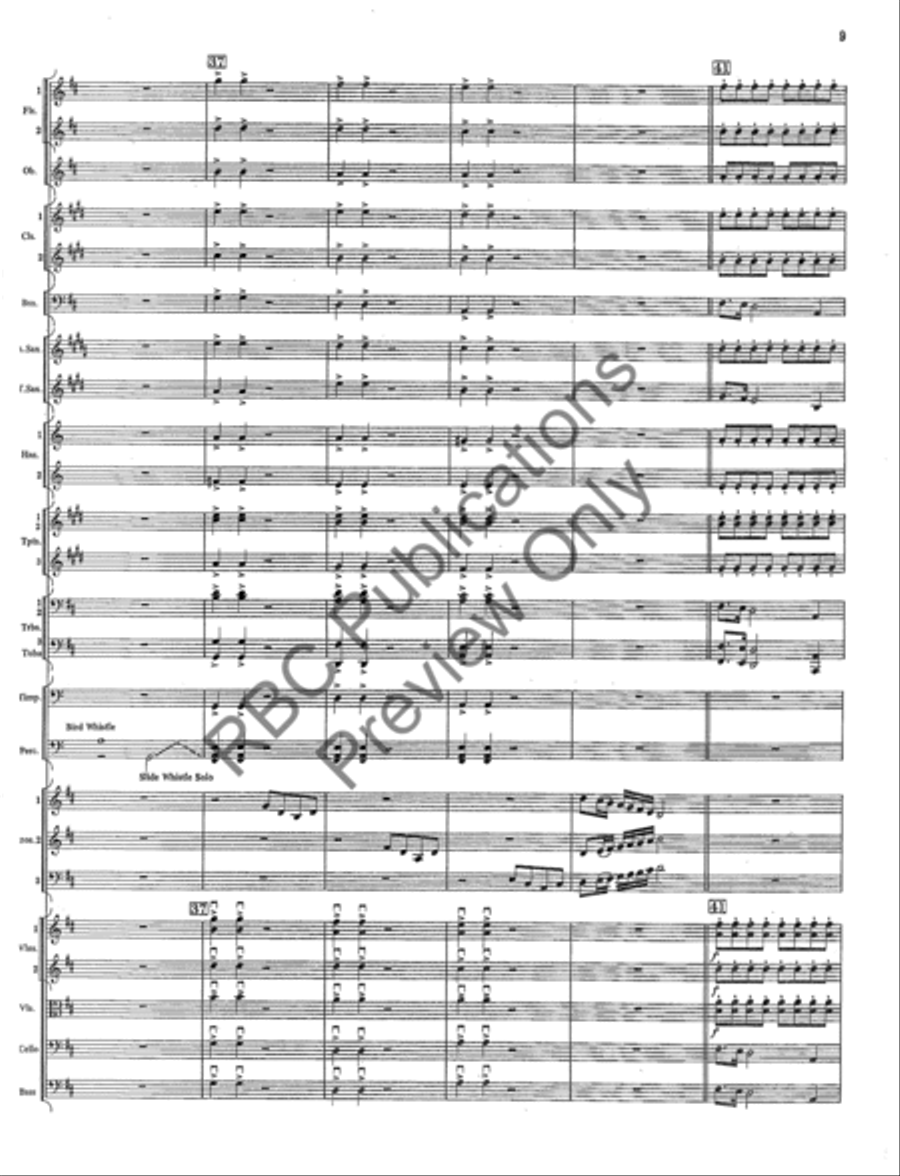 Concerto Gross Orchestra Full Orchestra scores gallery preview page 10