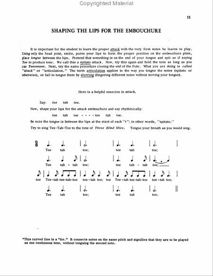 The Art and Practice of Modern Technique for Flute, Vol. 1 Flute scores gallery preview page 2