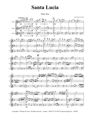 Santa Lucia - Italian Folk Song - Here in the twighlight - Flute Trio