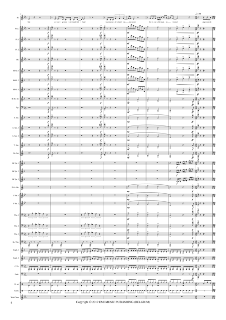 Dag Vreemde Man Concert Band scores gallery preview page 4
