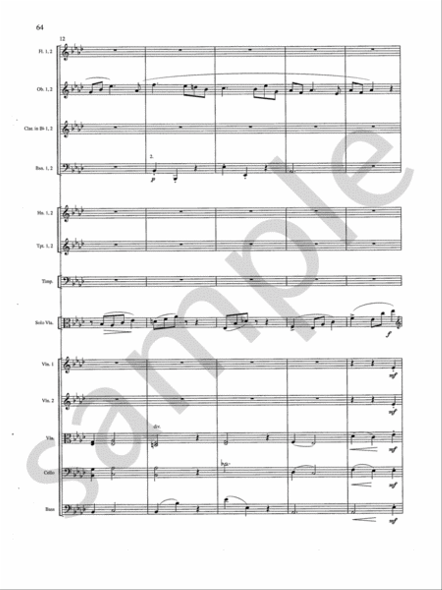 Concerto Orchestra scores gallery preview page 13