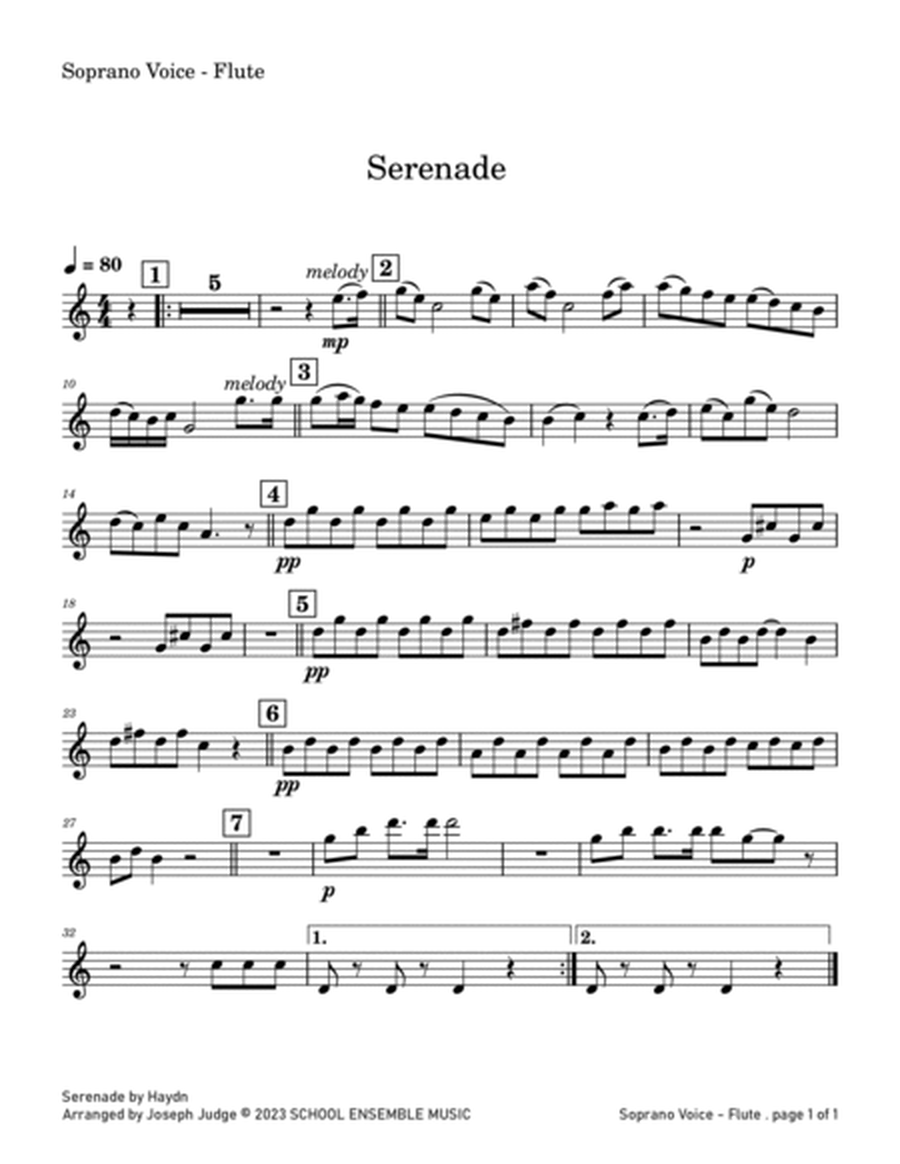 Serenade by Haydn for Woodwind Quartet in Schools image number null