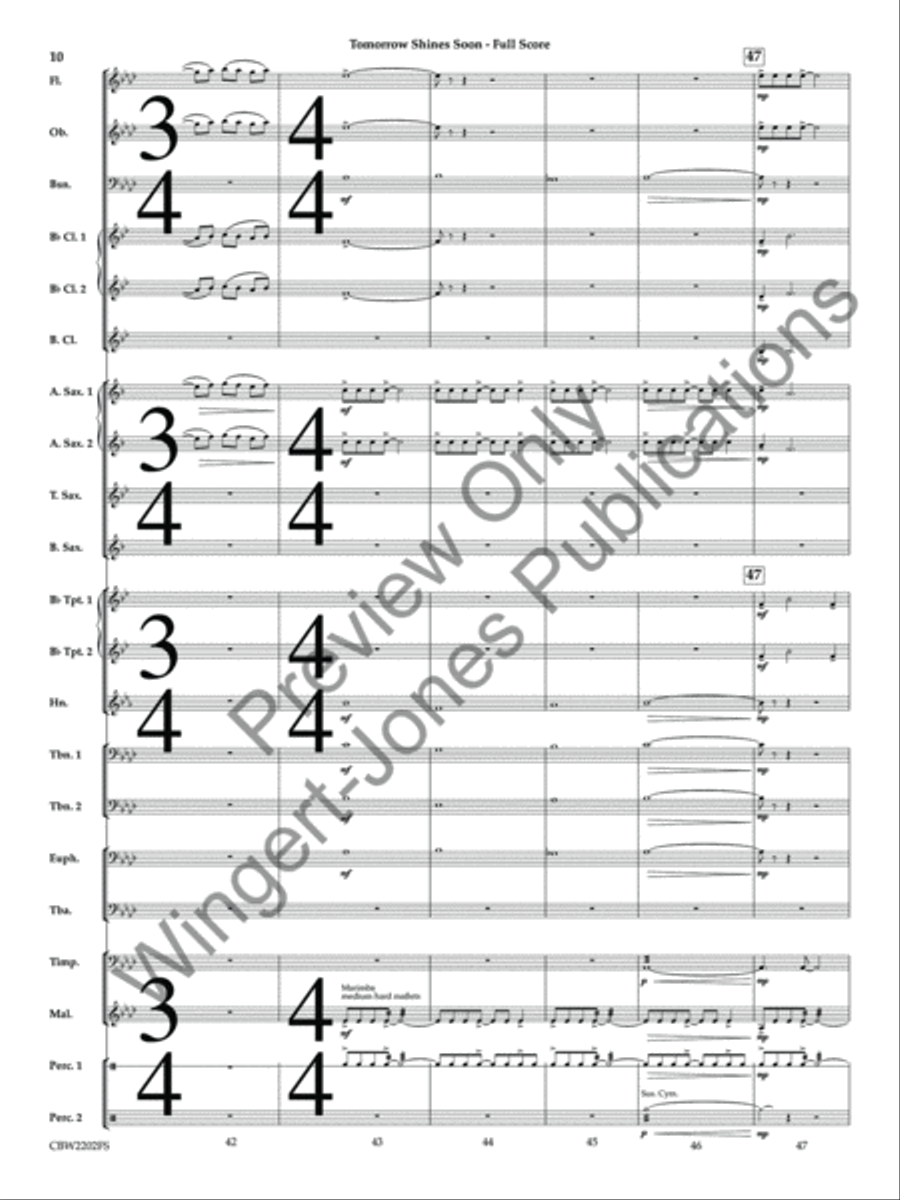 Tomorrow Shines Soon (Score) Concert Band scores gallery preview page 11