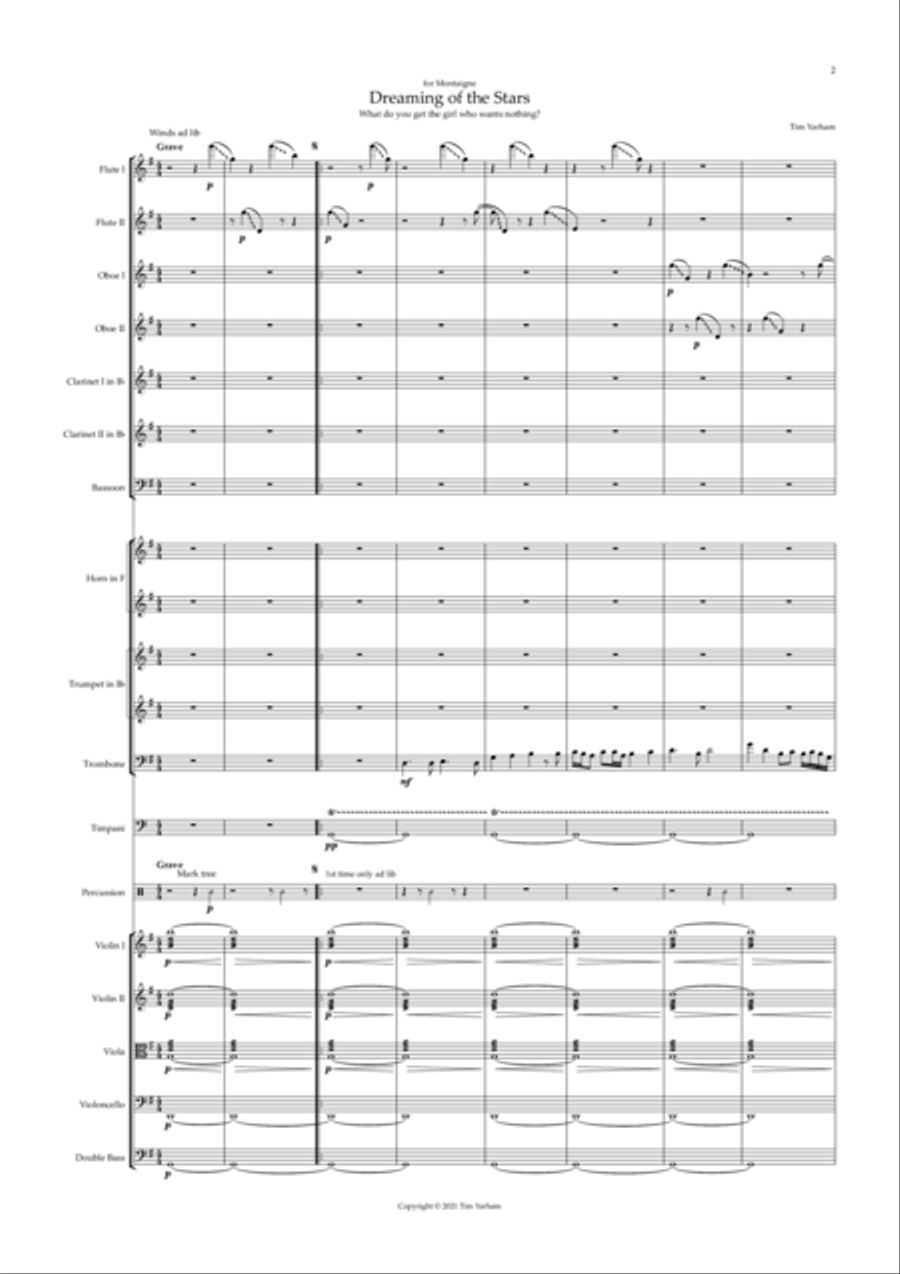 Dreaming of the Stars Full Orchestra scores gallery preview page 5