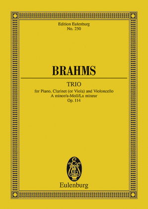 Book cover for Trio A minor