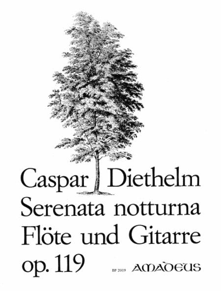 Serenata Notturna op. 119