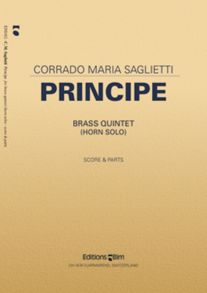 Book cover for Principe