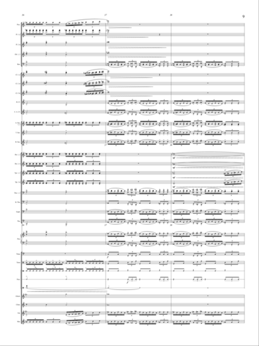 Windrider Concert Band - Sheet Music page 10