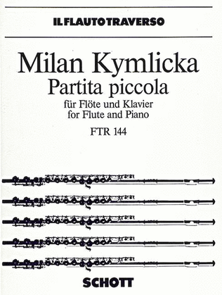 Book cover for Partita piccola
