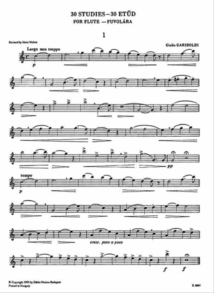 30 Easy and Progressive Studies for Flute Flute Solo scores gallery preview page 3