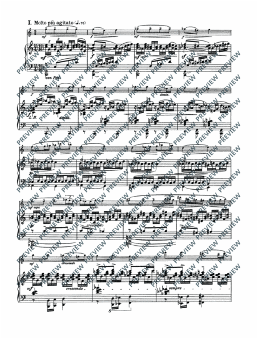 Variations on a theme by Edvard Grieg Flute Solo scores gallery preview page 6