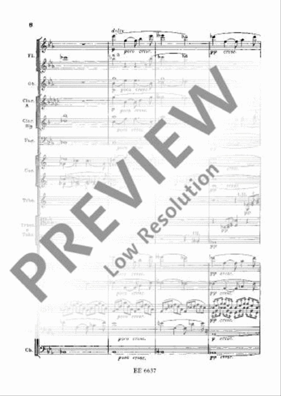 Symphony No. 2 C minor Orchestra scores gallery preview page 17