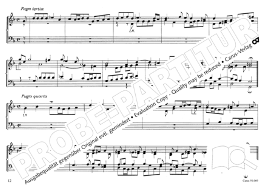 Musikalischer Blumenstrauss Organ Solo scores gallery preview page 15