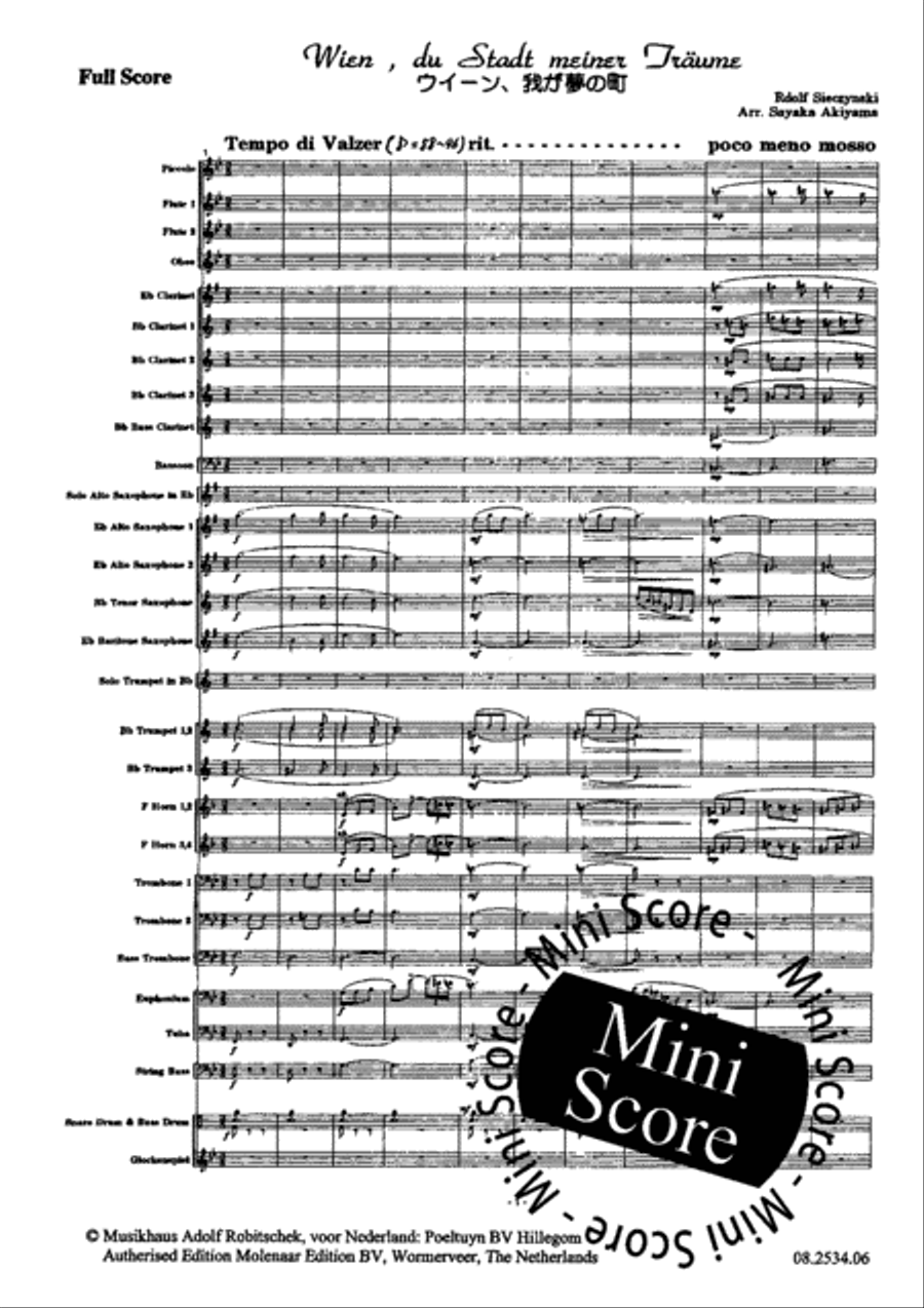 Wien du Stadt Meiner Traume Mixed Choir scores gallery preview page 5