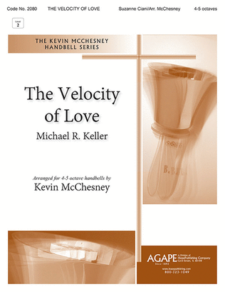 Book cover for The Velocity of Love