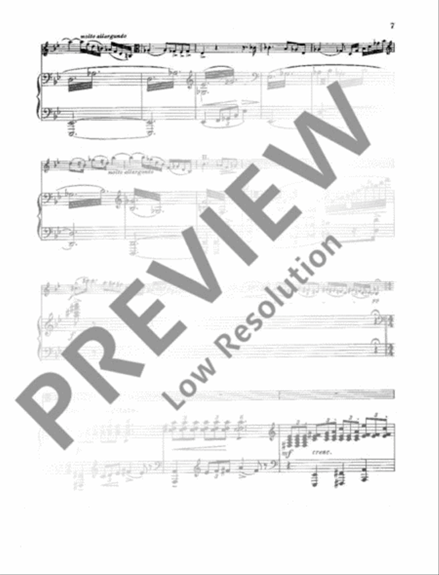 Concerto G Minor Viola scores gallery preview page 8