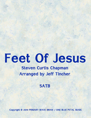 Book cover for Feet Of Jesus