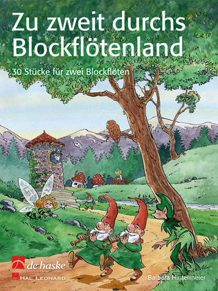 Book cover for Zu zweit durchs Blockflötenland