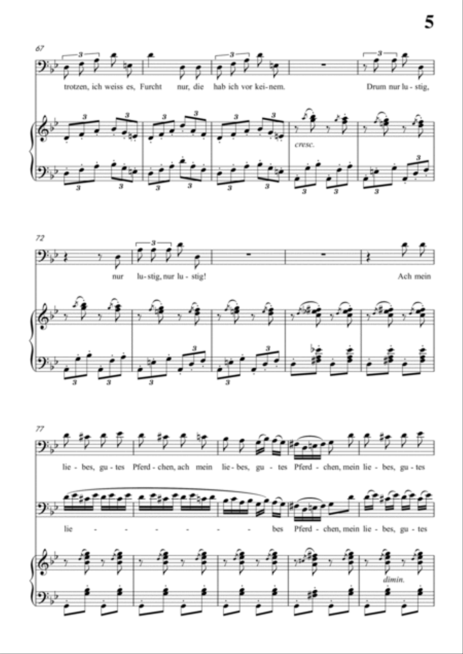Schumann-Der Kontrabandiste in g minor for Voice and Piano Voice Solo scores gallery preview page 6