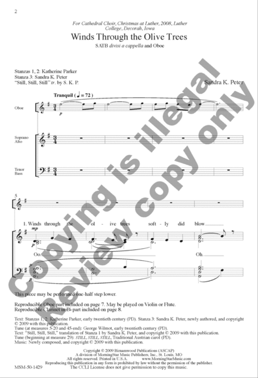 Winds Through the Olive Trees Divisi scores gallery preview page 2