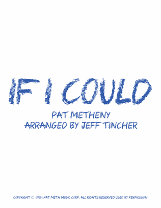 Book cover for If I Could