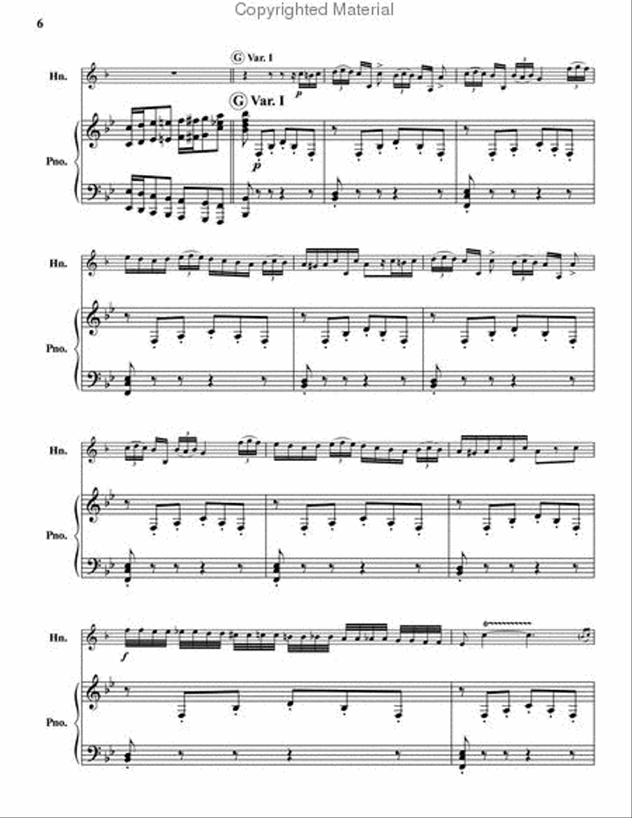 Fantasy and Variations on the Carnival of Venice Piano Accompaniment scores gallery preview page 4