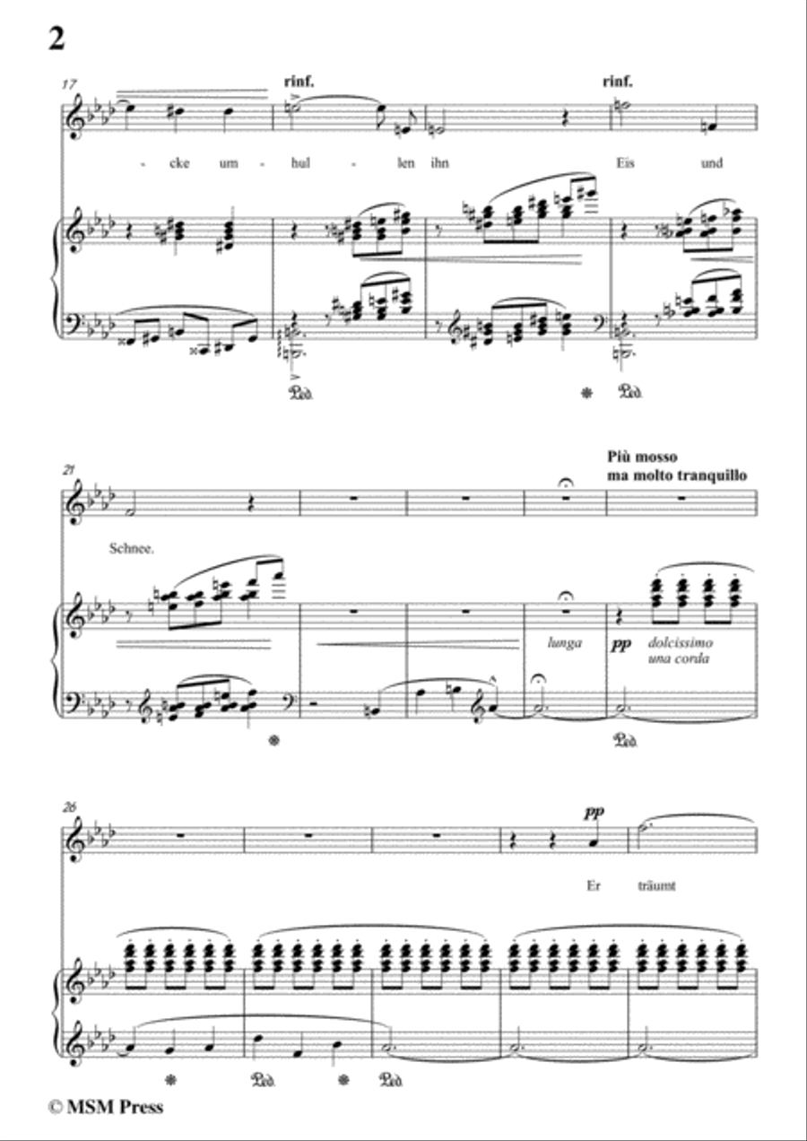 Liszt-Ein fichtenbaum stent einsam in f minor,for Voice and Piano image number null