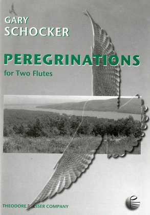Book cover for Peregrinations