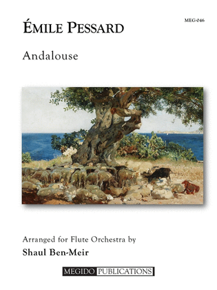 Andalouse for Flute Orchestra