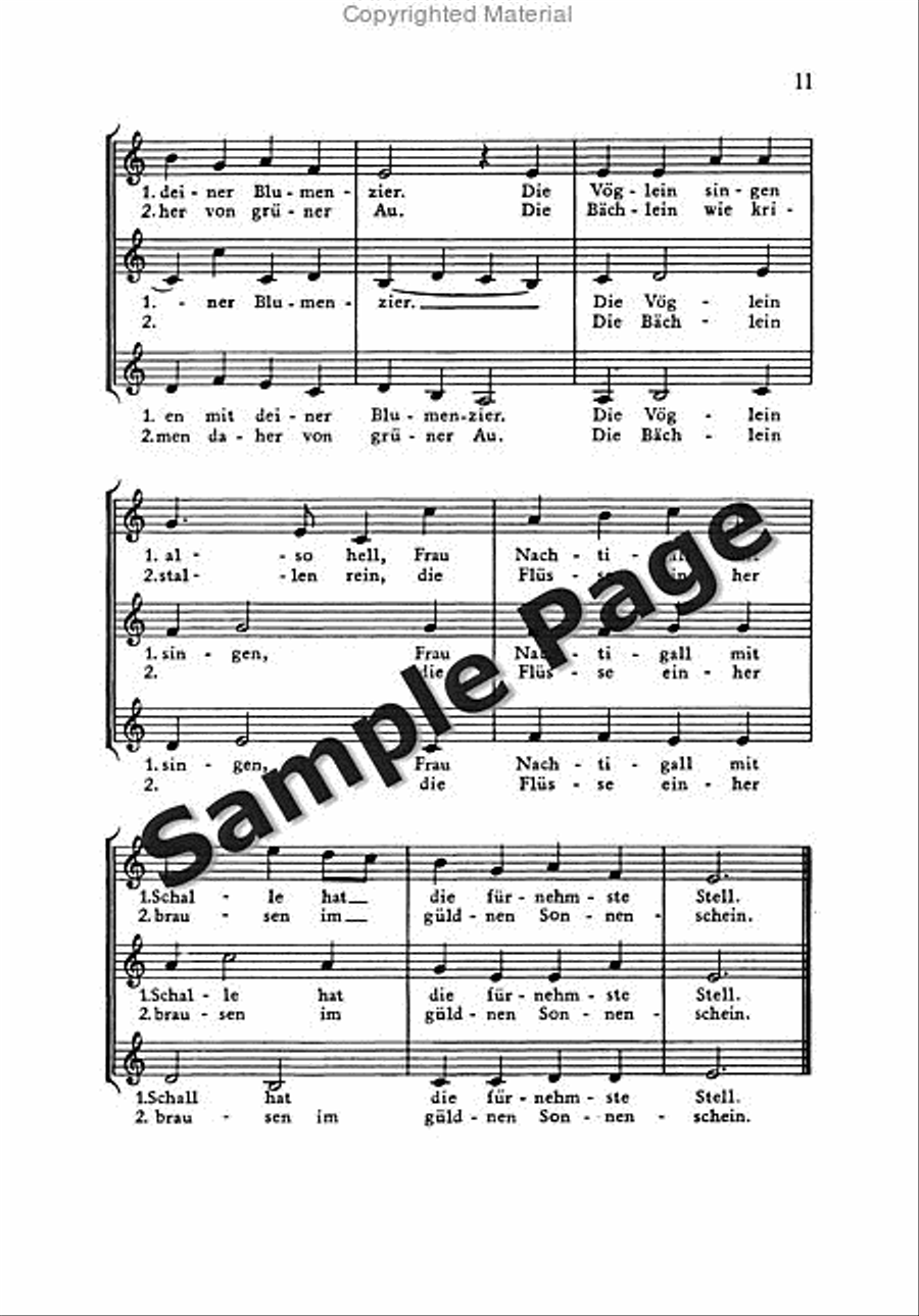 Roller Coaster Ride Piano Solo scores gallery preview page 12
