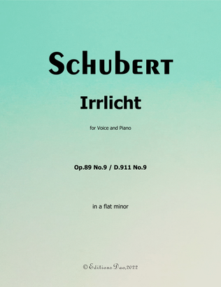 Book cover for Irrlicht, by Schubert, in a flat minor