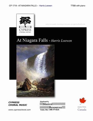 Book cover for At Niagara Falls