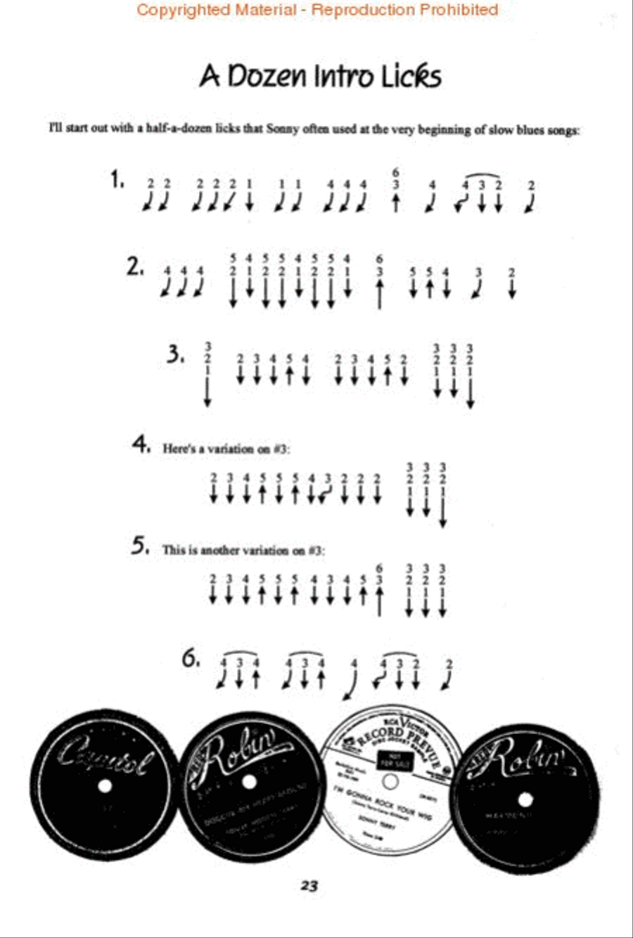 The Sourcebook of Sonny Terry Licks for Harmonica Harmonica scores gallery preview page 3