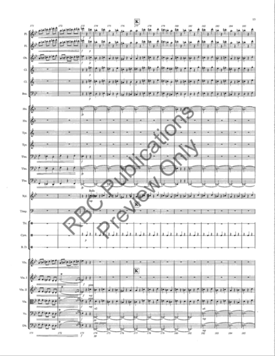 Danse Macabre Danse Macabre Full Orchestra scores gallery preview page 16