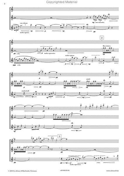 Flotensinfonie / Flute symphony
