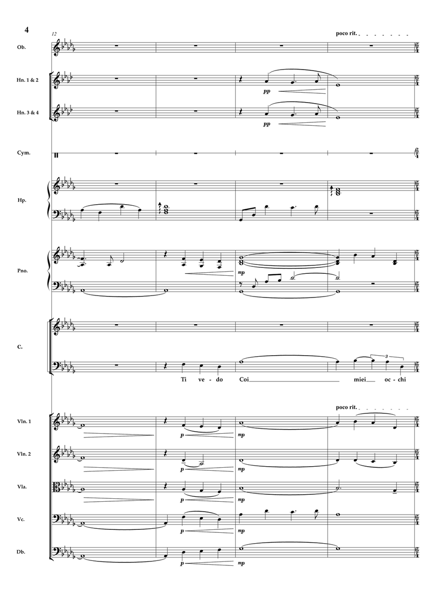 E Piu Ti Penso Chamber Orchestra scores gallery preview page 5