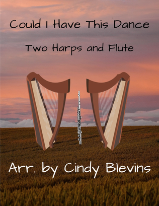 Book cover for Could I Have This Dance