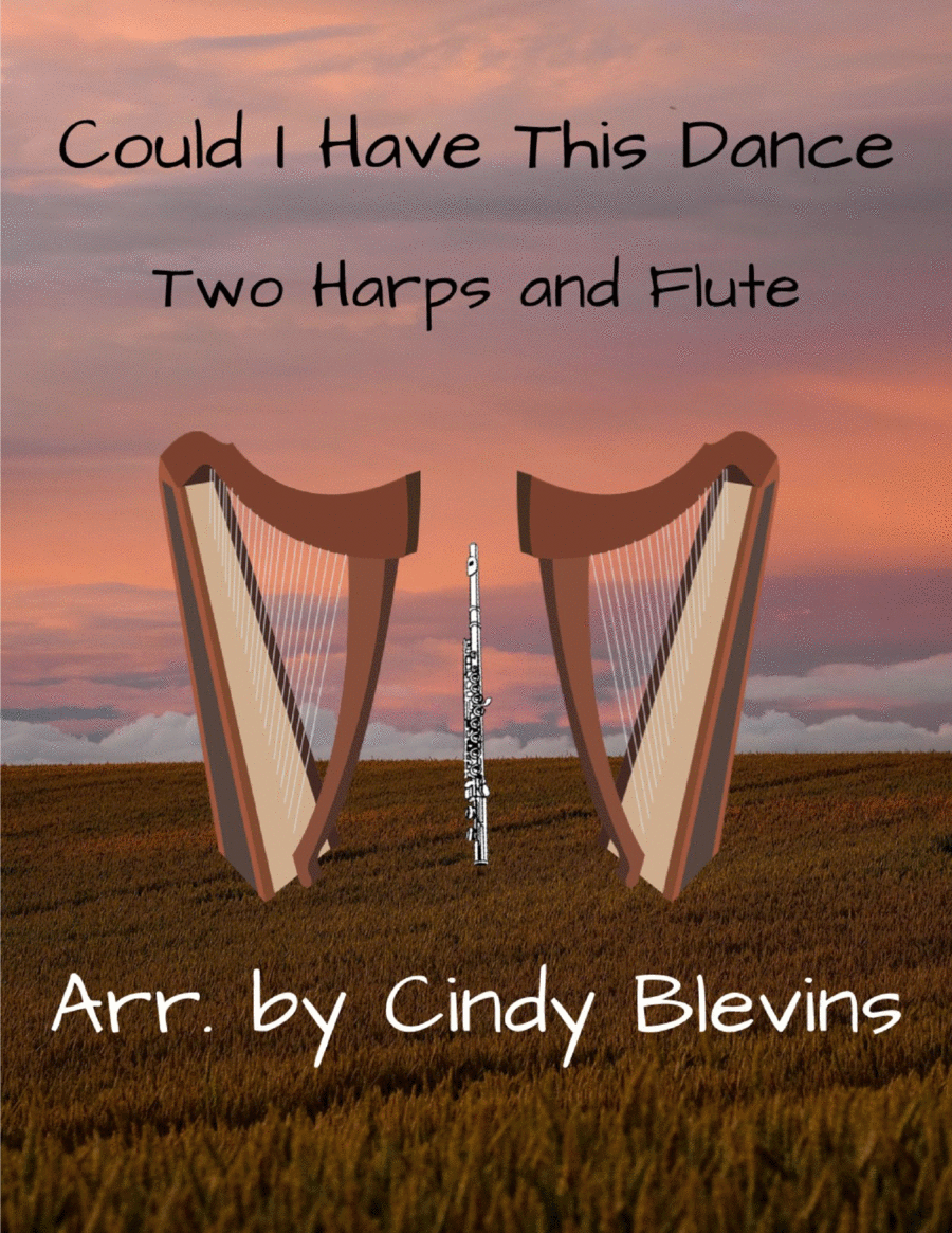 Book cover for Could I Have This Dance