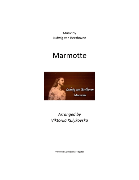 Marmotte L. van Beethoven (solo guitar) image number null